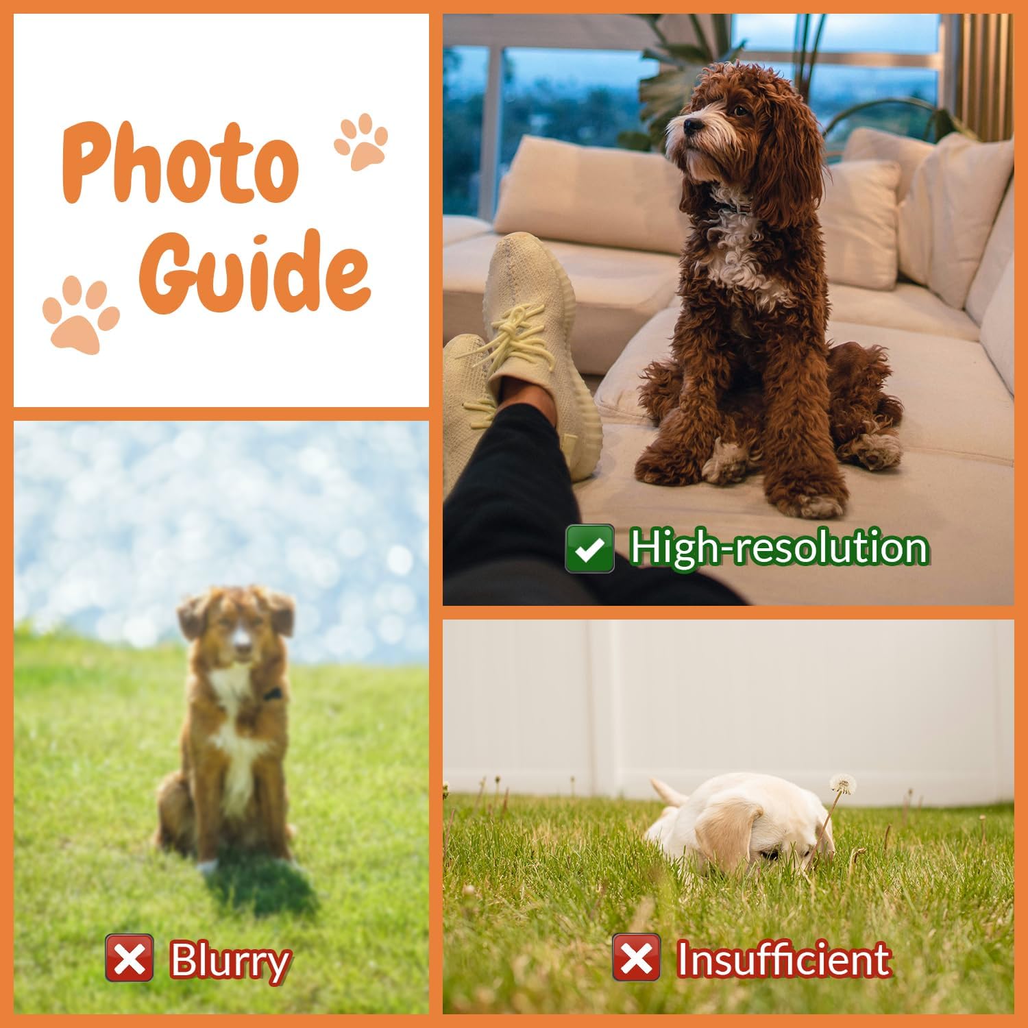 Customised Photo Pet Home Pill - огляд і ціна Home Textiles Images