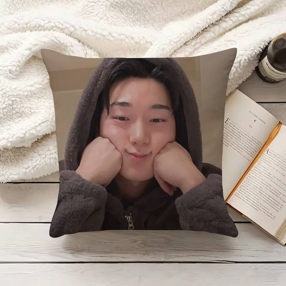 C-Choi S-San Pillow Cover Sofa - огляд і ціна Home Textiles Inc